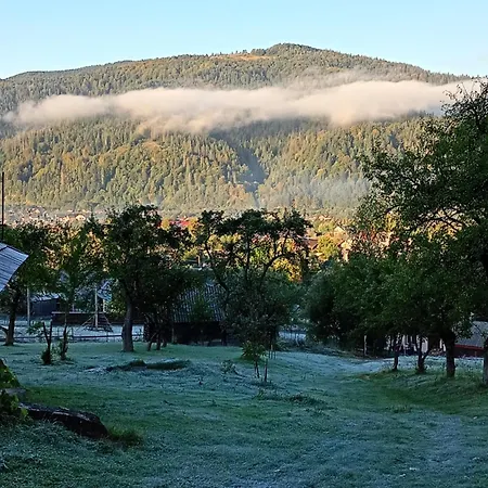 на пагорбі Apartment *