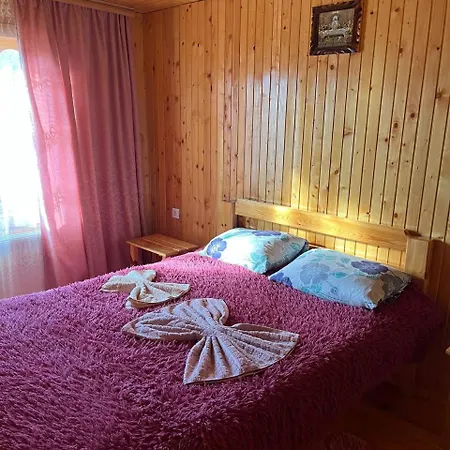 Διαμέρισμα на пагорбі Mykulychyn